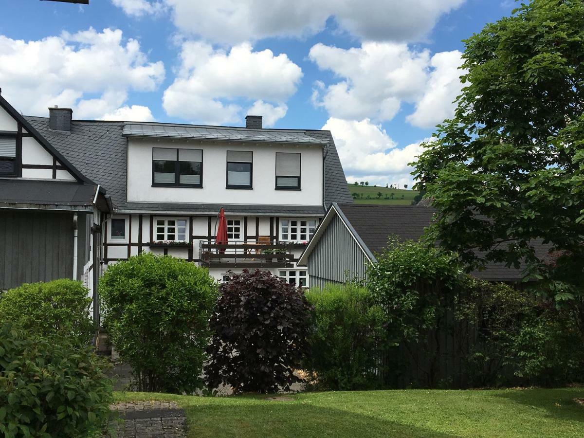Wilkenhof Apartment Willingen  Ngoại thất bức ảnh